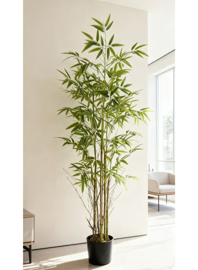 Bamboo 180cm (6 ft) Tall Artificial Tree with Pot | Floor Plant with Lifelike Design