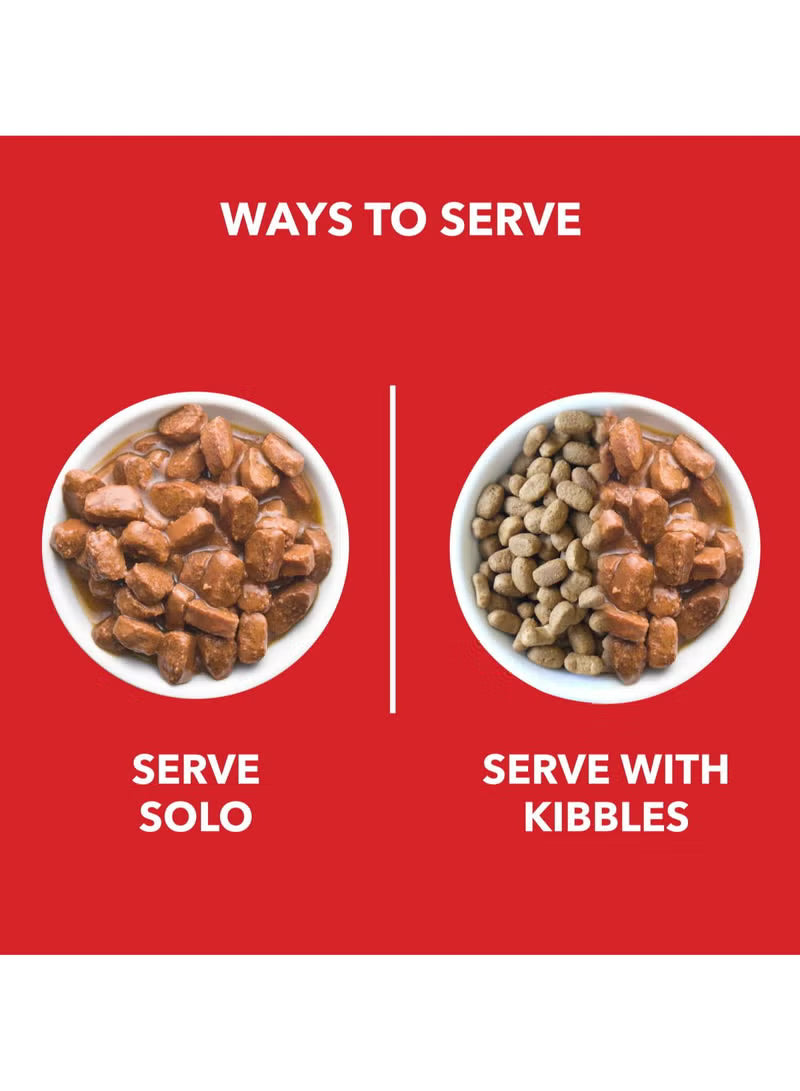 Adult Wet Dog Food Real Chicken and Chicken Liver Chunks in Gravy 10 + 2 Pouches Free