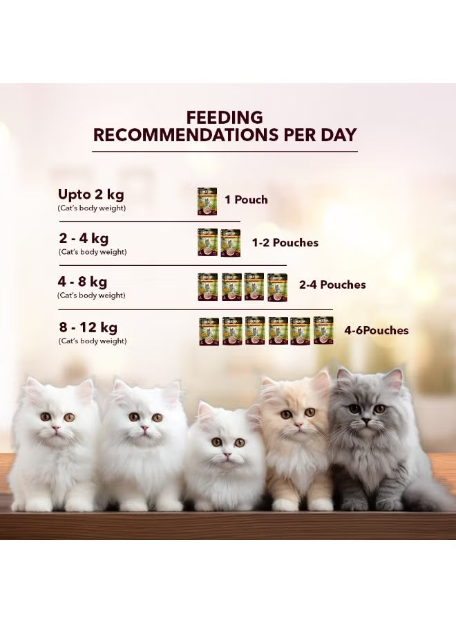 Cat Wet Food Salmon Fish in Gravy