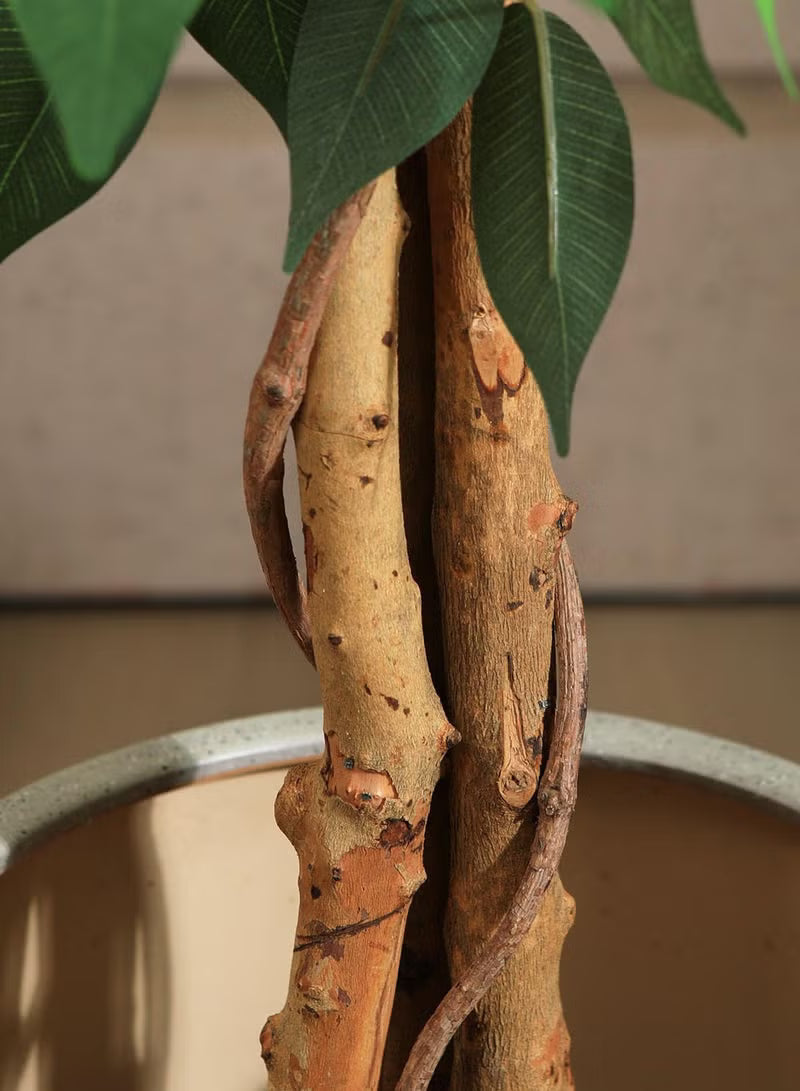 Artificial Ficus Trees with White Pot – 120cm/150cm/180cm Faux Plant