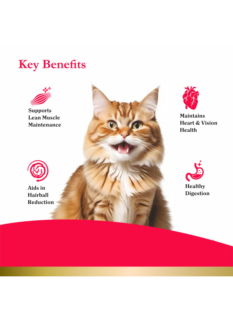 Peak Dry Cat Food Ocean Fish