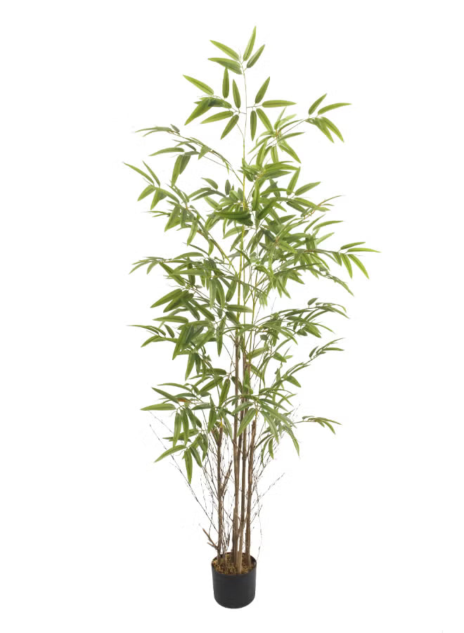 Bamboo 180cm (6 ft) Tall Artificial Tree with Pot | Floor Plant with Lifelike Design