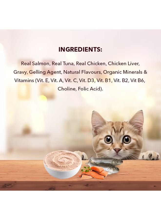 Cat Wet Food Salmon Fish in Gravy