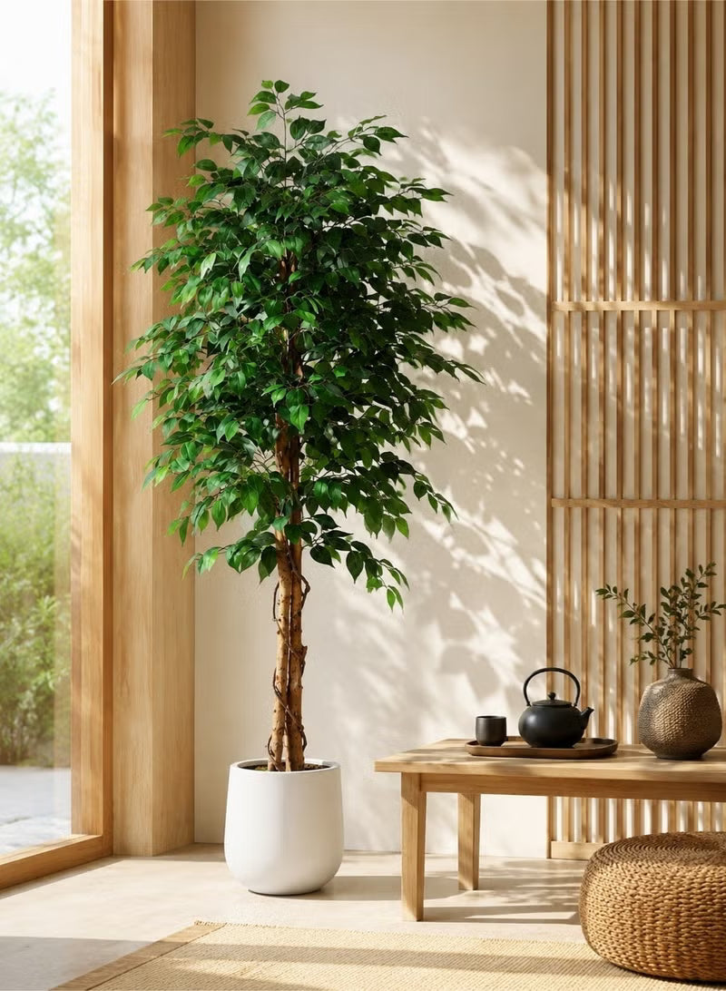 Artificial Ficus Trees with White Pot – 120cm/150cm/180cm Faux Plant