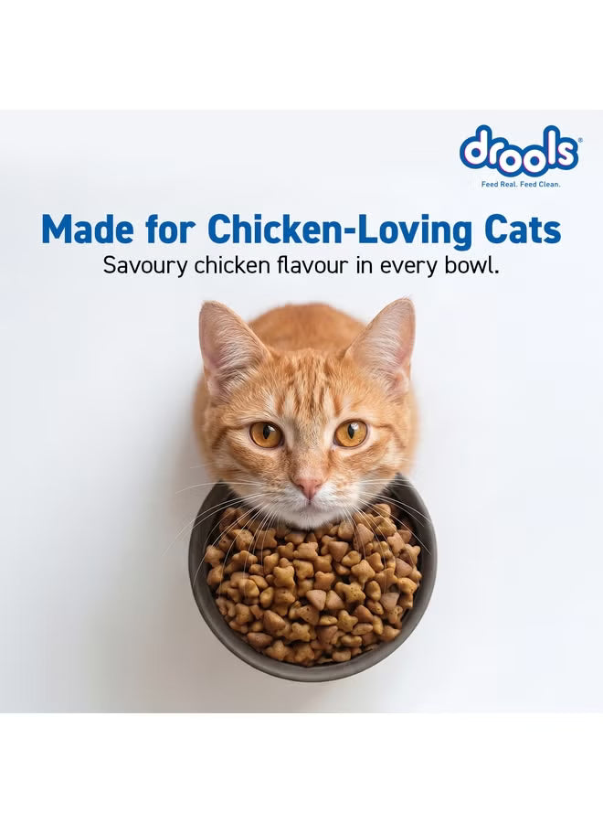 Drools Adult Cat Food with Creamy Treats