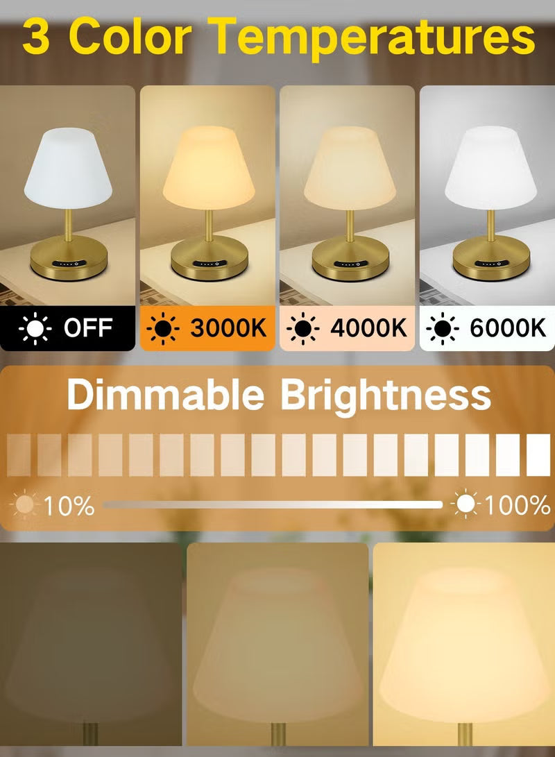 Touch Control LED Table Lamp – Rechargeable & Cordless with 3-Color Dimmable Light & Stepless Dimming