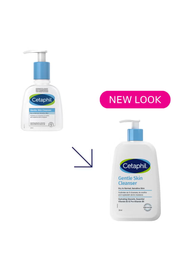 Gentle Skin Cleanser, Face And Body Wash For Dry To Normal, Sensitive Skin