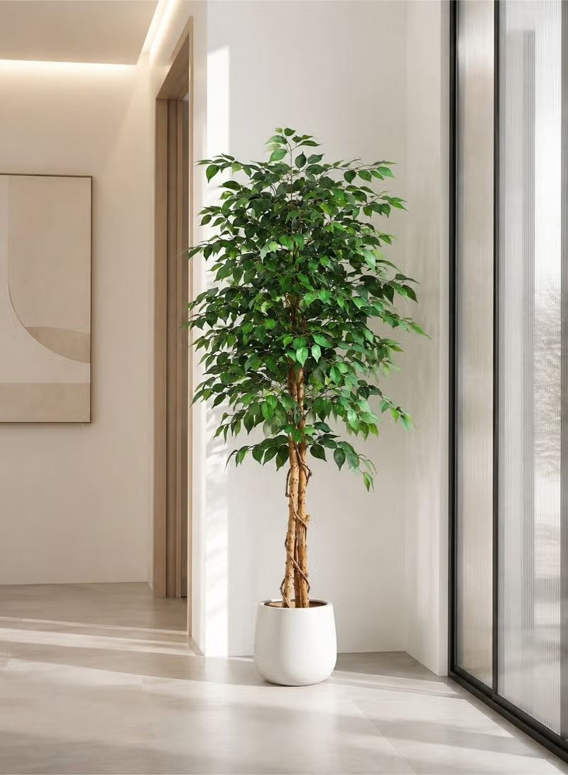 Artificial Ficus Trees with White Pot – 120cm/150cm/180cm Faux Plant