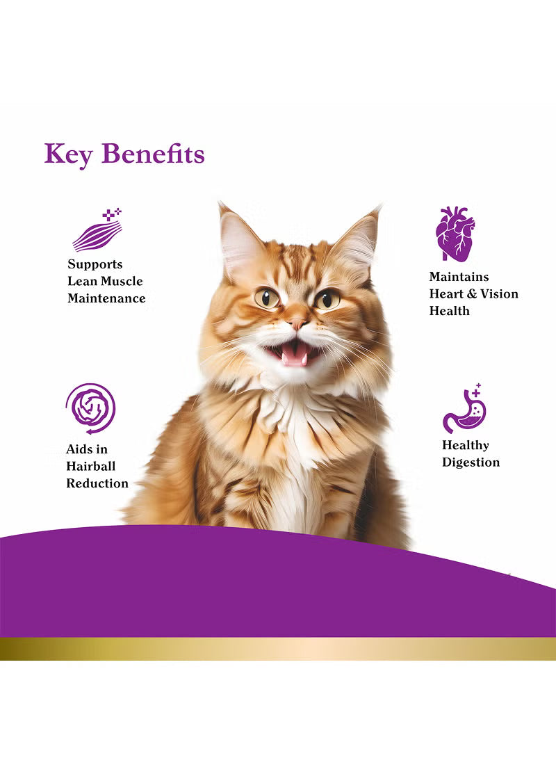 Peak Dry Cat Food Ocean Fish