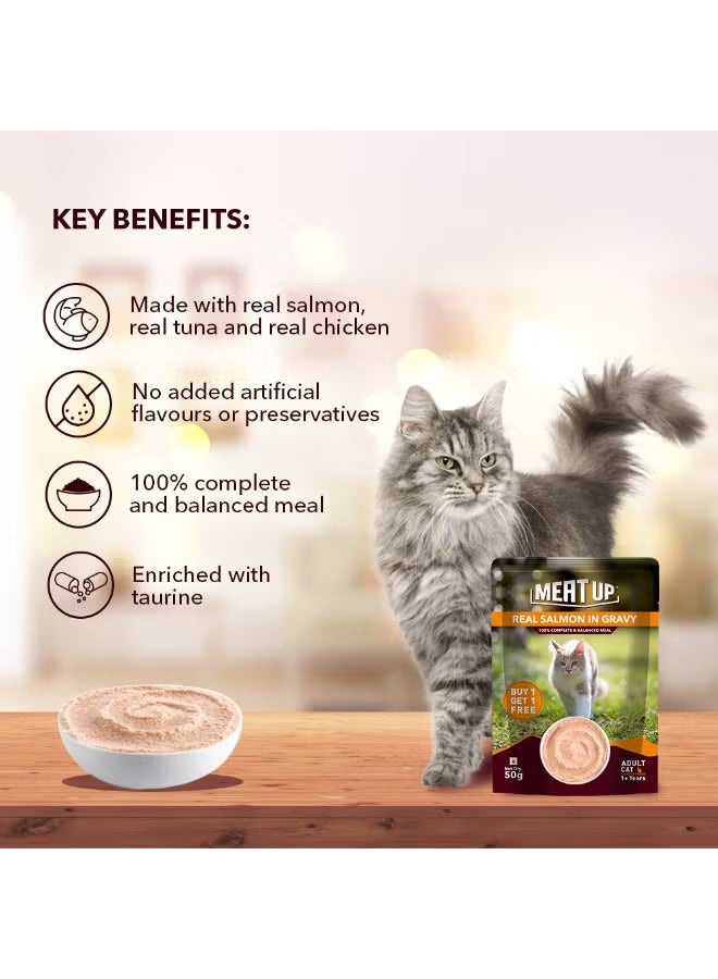 Cat Wet Food Salmon Fish in Gravy