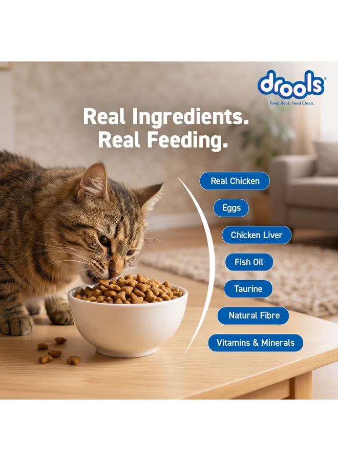 Drools Adult Cat Food with Creamy Treats