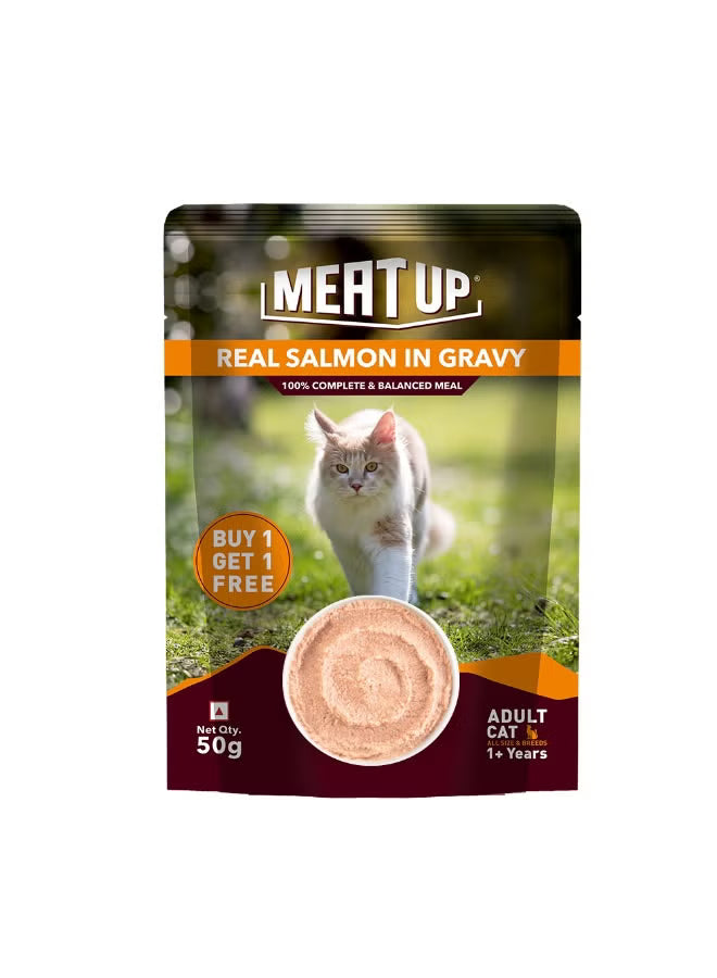 Cat Wet Food Salmon Fish in Gravy