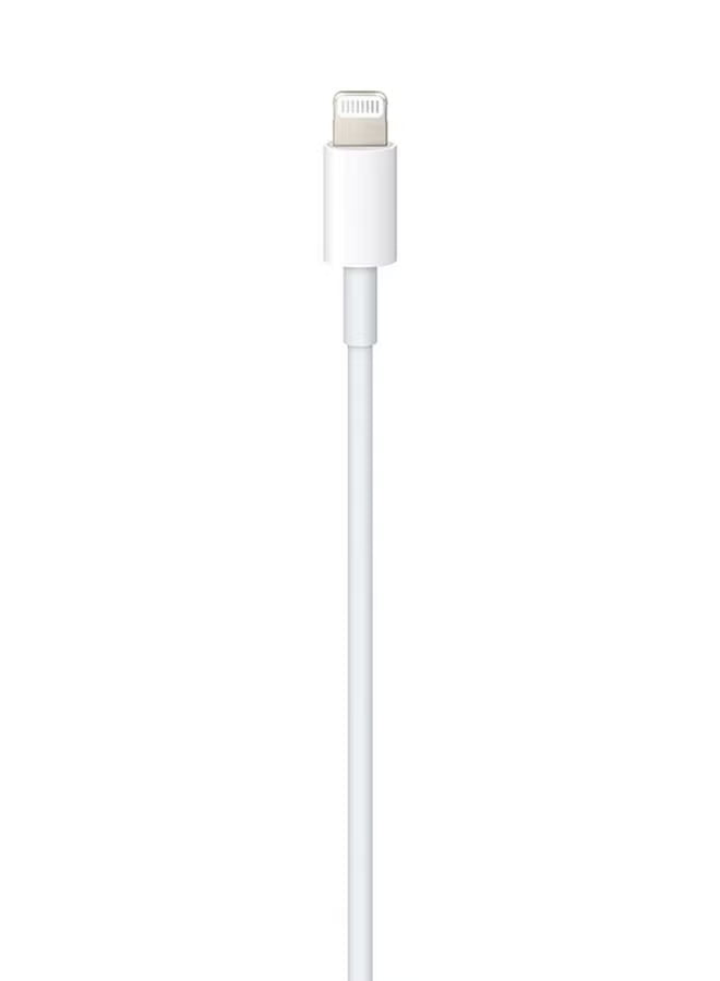 USB-C to Lightning Cable (1m) White