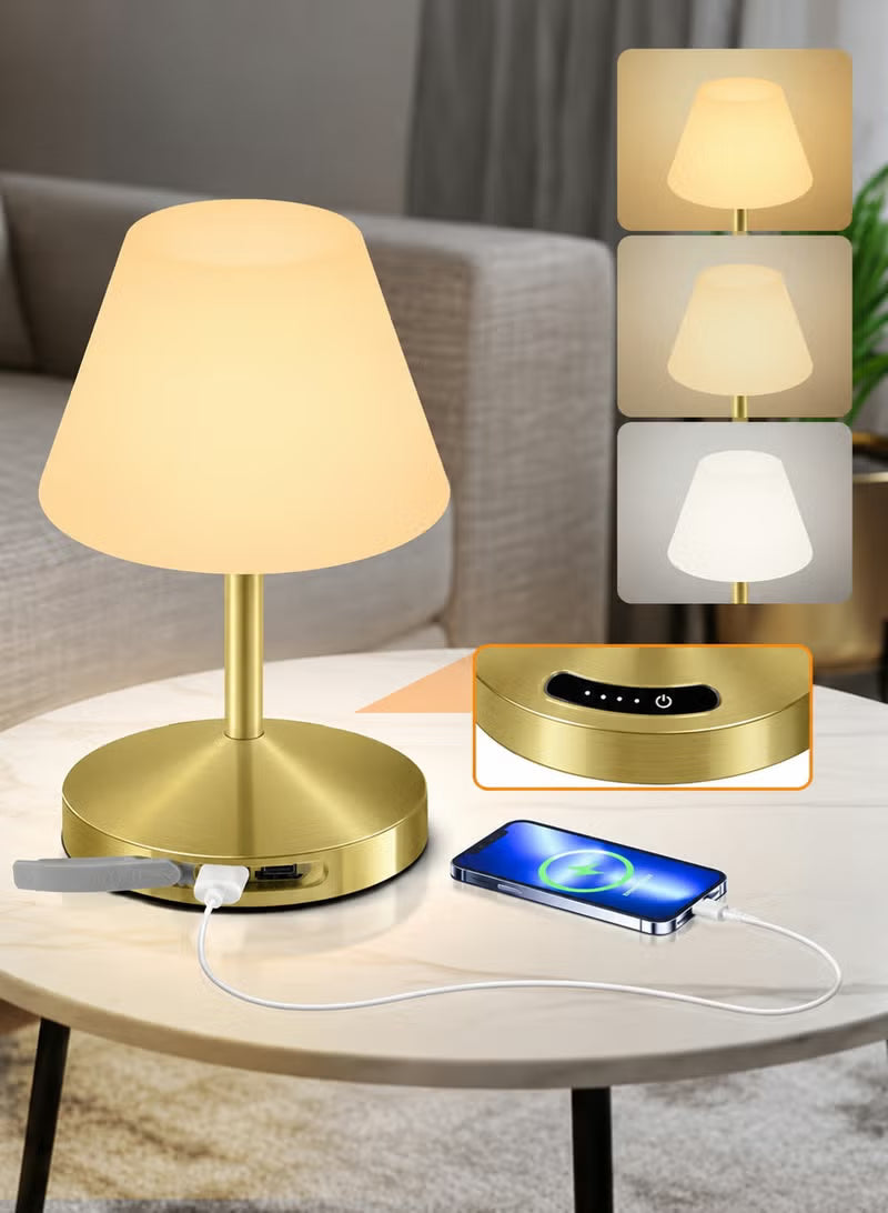 Touch Control LED Table Lamp – Rechargeable & Cordless with 3-Color Dimmable Light & Stepless Dimming