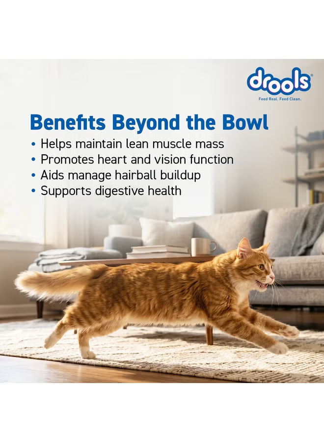 Drools Adult Cat Food with Creamy Treats