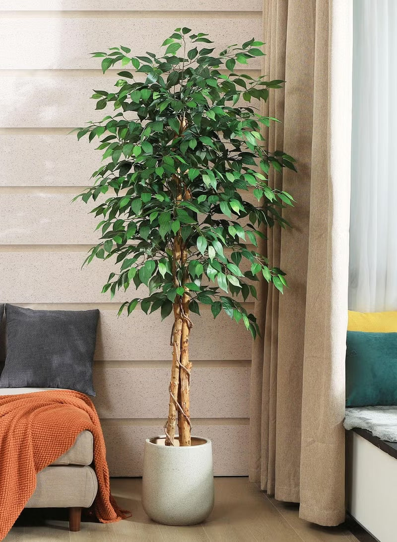 Artificial Ficus Trees with White Pot – 120cm/150cm/180cm Faux Plant