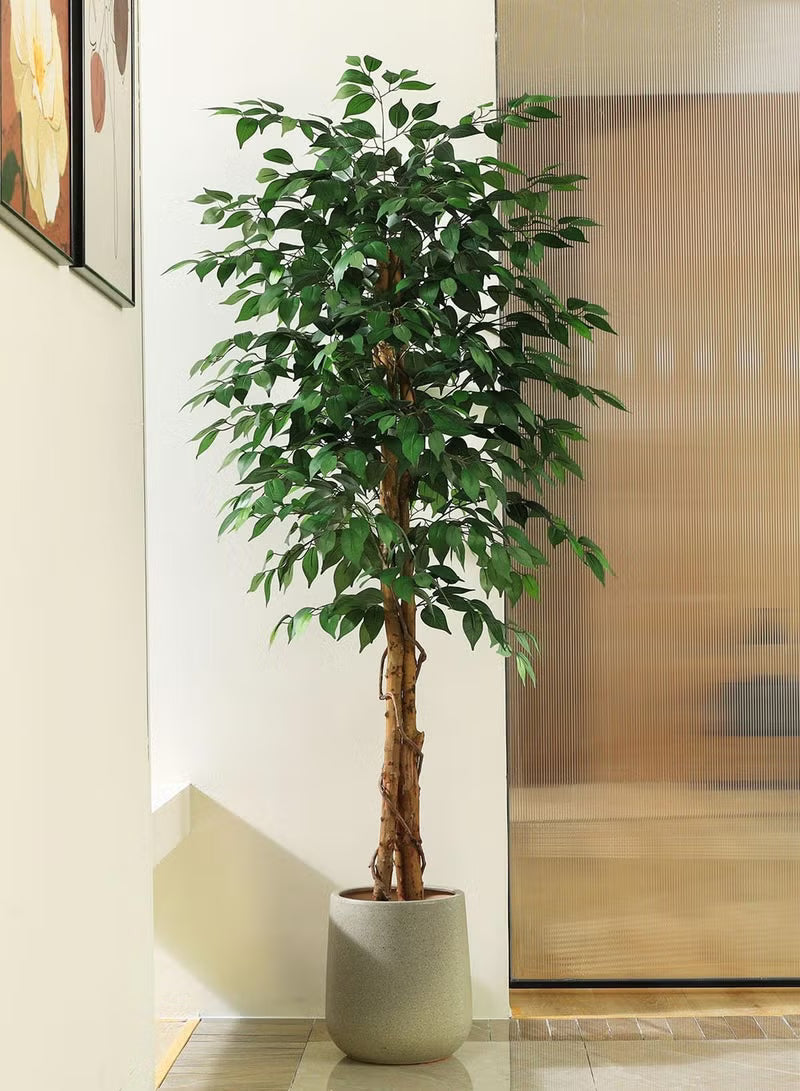 Artificial Ficus Trees with White Pot – 120cm/150cm/180cm Faux Plant