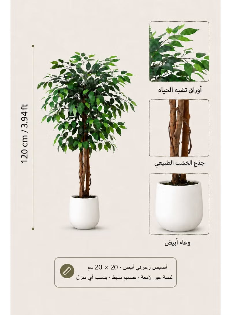 Artificial Ficus Trees with White Pot – 120cm/150cm/180cm Faux Plant