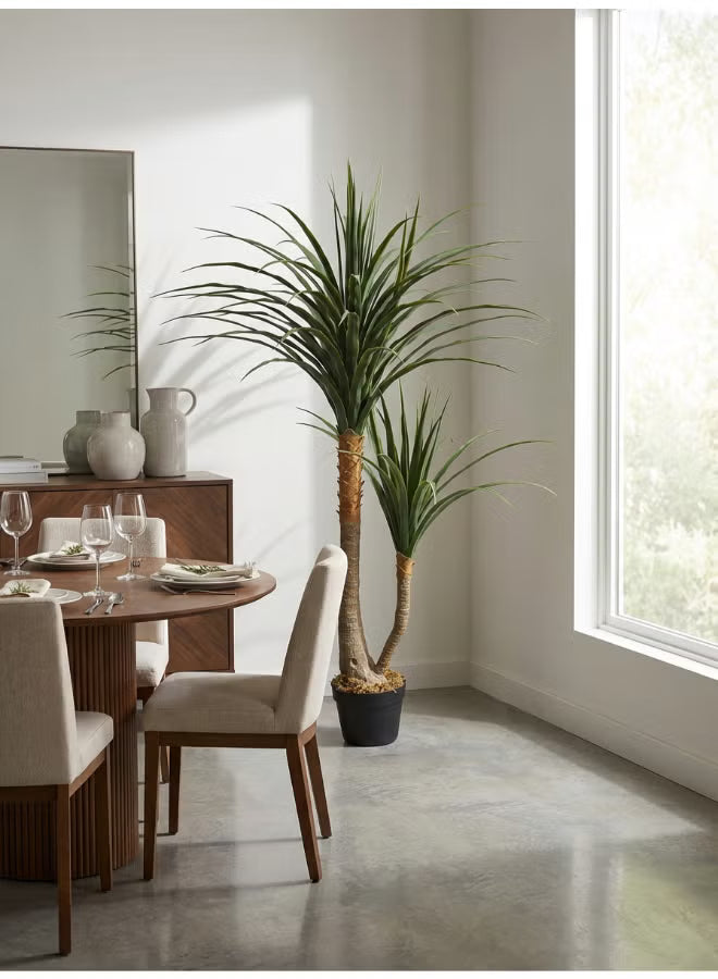 Yucca 120cm (4 ft) Tall Artificial Tree with Pot | Floor Plant with Lifelike Design